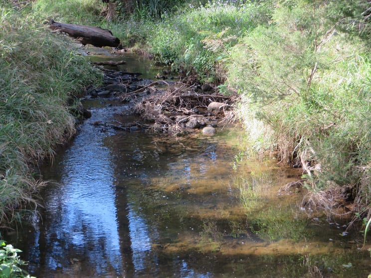 Click to view all images 52,53/400 Phillips Swamp Road Busbys Flat NSW 2469 - Image 3
