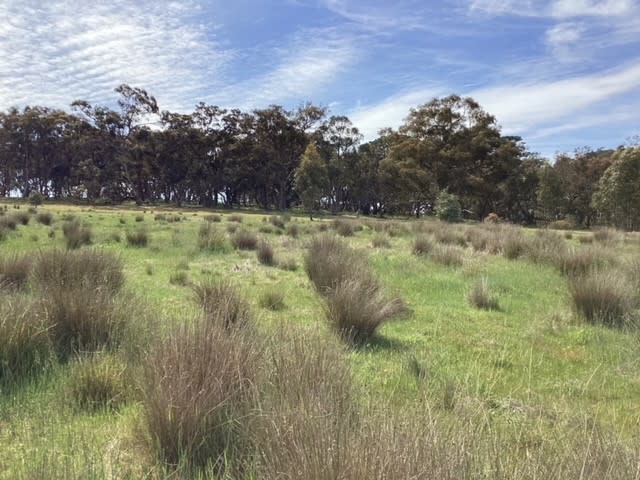 Click to view all images Lot 38C Lexton-Evansford Road Evansford VIC 3371 - Image 3