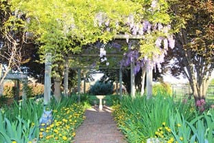 Click to view all images 243 Castlereagh Highway 'LITTLE CAERLEON' Mudgee NSW 2850 - Image 3