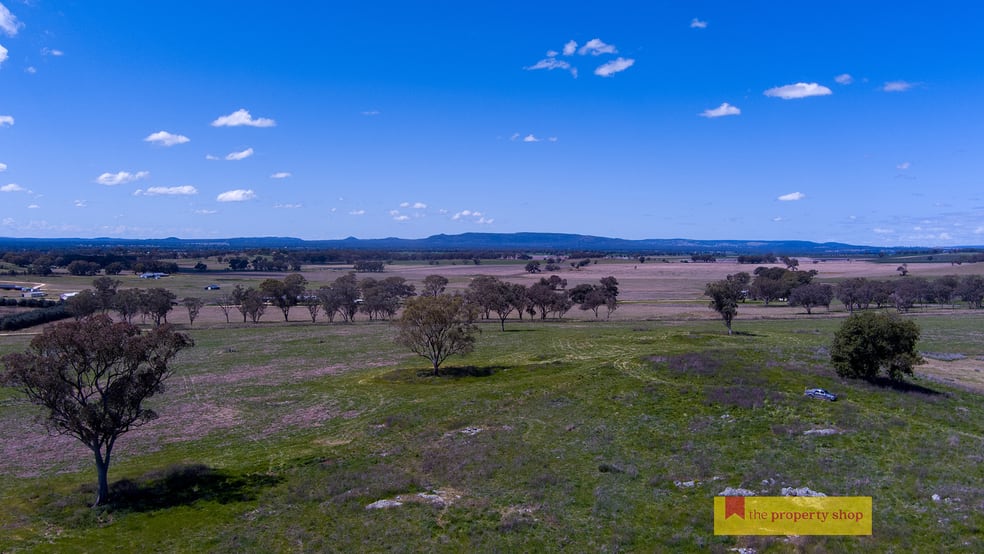 6/705 Springfield Lane Gulgong NSW 2852 - Image 1