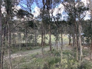 Click to view all images 157 Warra Forest Road Mount Mitchell NSW 2365 - Image 3