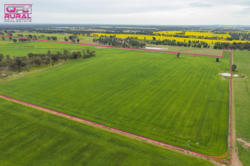 Click to view all images 2/272 Glynburn Road Temora NSW 2666 - Image 3
