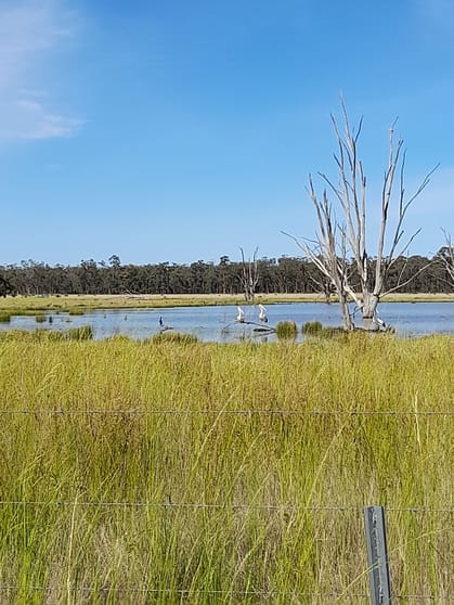 Click to view all images 936 West Mialla Road Balladoran NSW 2822 - Image 2