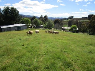 Click to view all images 92 Cradle Mountain Road Wilmot TAS 7310 - Image 2