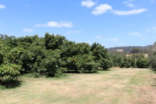Click to view all images 540 Scotsdale Road Denmark WA 6333 - Image 2
