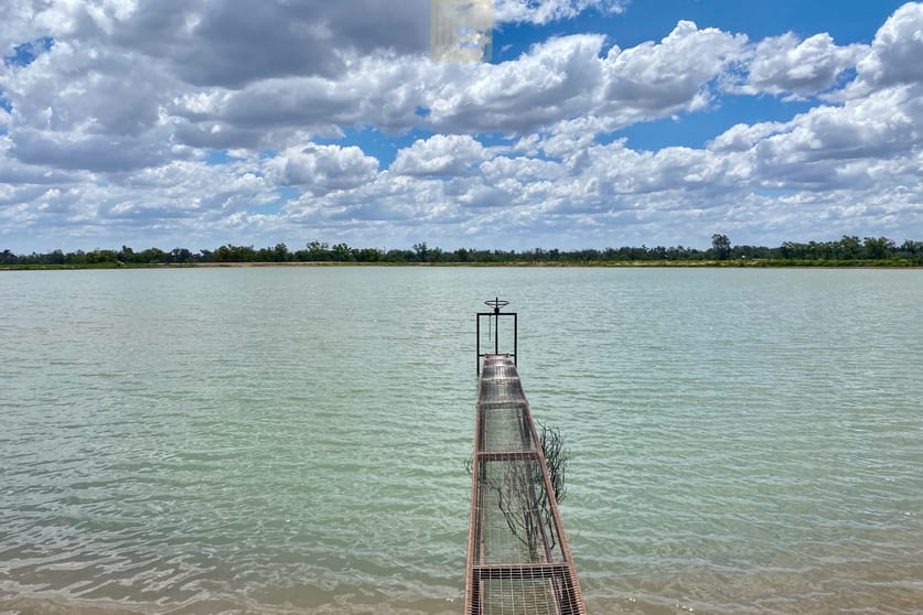 Click to view all images 207 Myalla Lane Wee Waa NSW 2388 - Image 3