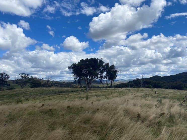 Click to view all images 197 Argyle Road Mudgee NSW 2850 - Image 3