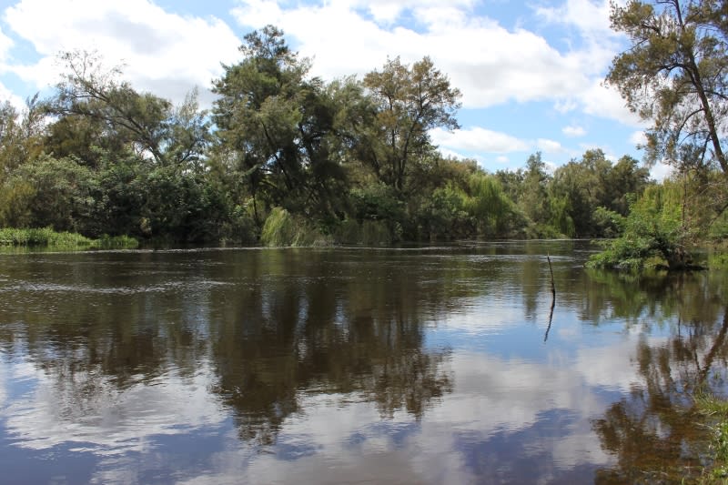 Click to view all images 'Fernlee' 557 Pindari Dam Rd Ashford NSW 2361 - Image 2