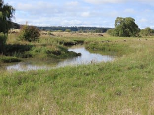 Click to view all images 261 Glen Legh Road Glen Innes NSW 2370 - Image 1