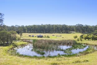 Click to view all images 265 Fords Road Limeburners Creek NSW 2324 - Image 3