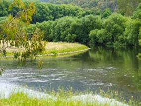 Click to view all images Broadrib Leys Road Eskdale VIC 3701 - Image 1