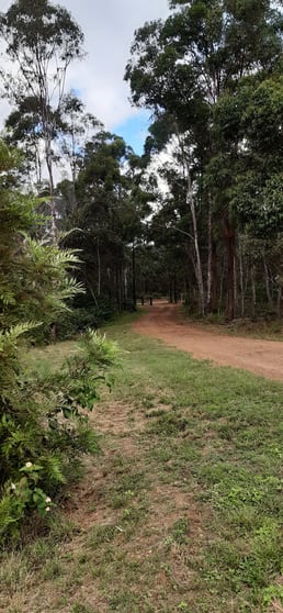Click to view all images 281 DYER ROAD Googa Creek QLD 4314 - Image 1