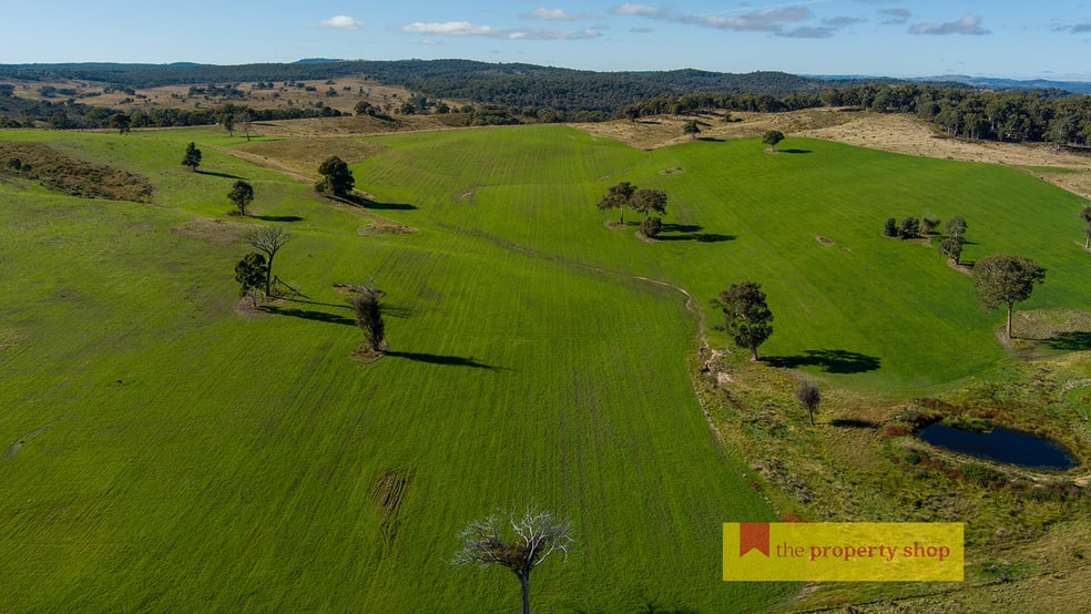 543 Triamble Road Mudgee NSW 2850 - Image 2