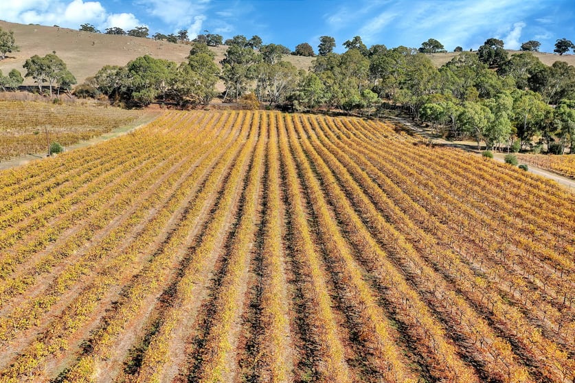 Click to view all images 103 Long Gully Road Angaston SA 5353 - Image 3