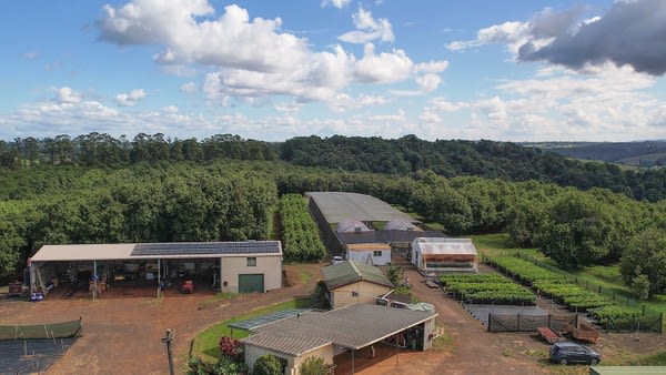 Click to view all images 323 Eureka Road Eureka NSW 2480 - Image 1
