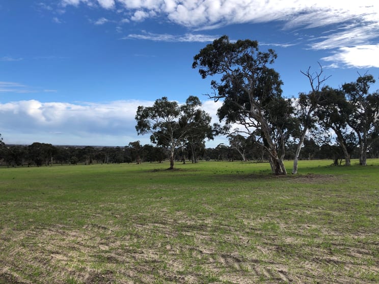 Click to view all images 6465 Riddoch Highway Padthaway SA 5271 - Image 3