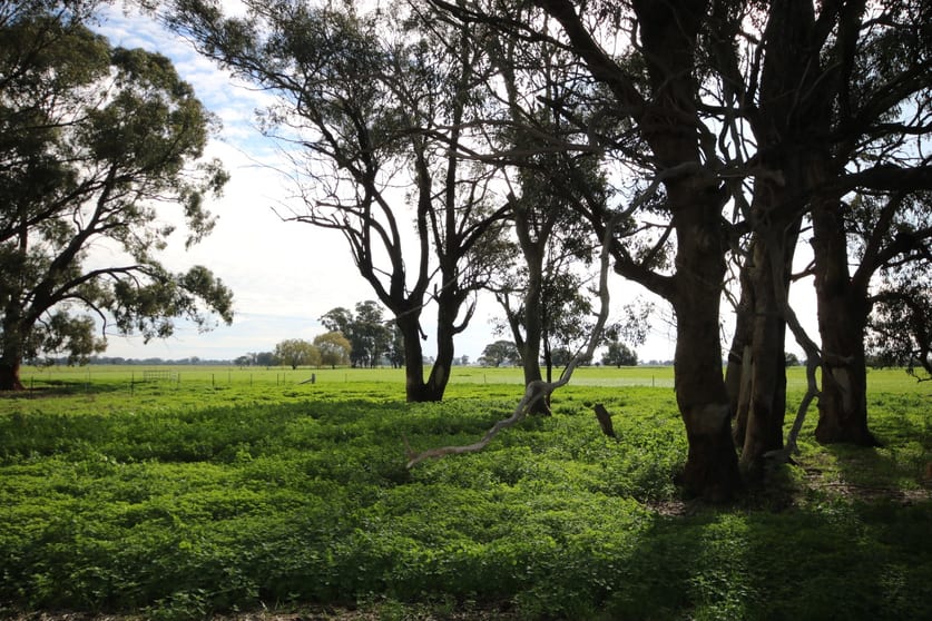 Click to view all images 12 Parsons Road Elmore VIC 3558 - Image 3