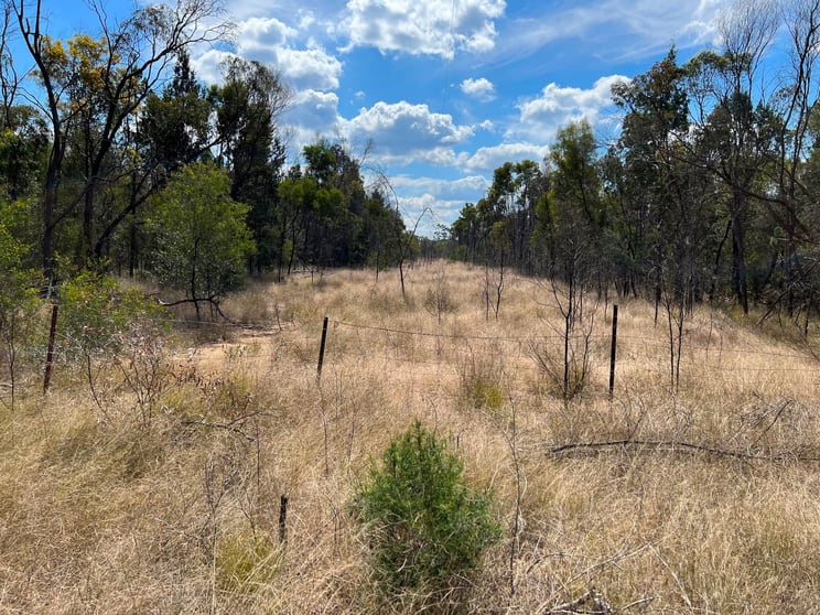 Lot 40 South Road Tara QLD 4421 - Image 3