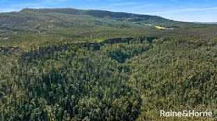 Click to view all images Lot 21/DP751273 Lower Bugong Road Illaroo NSW 2540 - Image 3