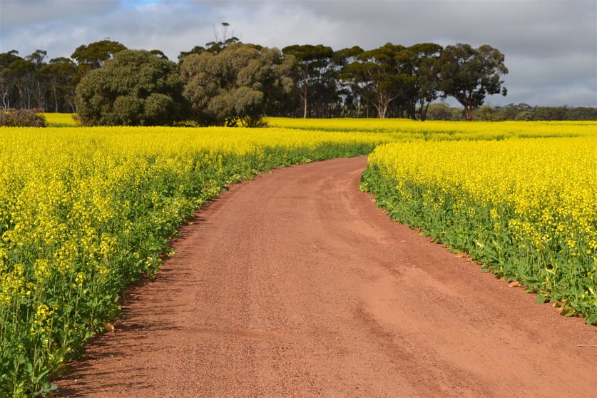 Click to view all images . 'Wells" Dangin North Road Quairading WA 6383 - Image 2