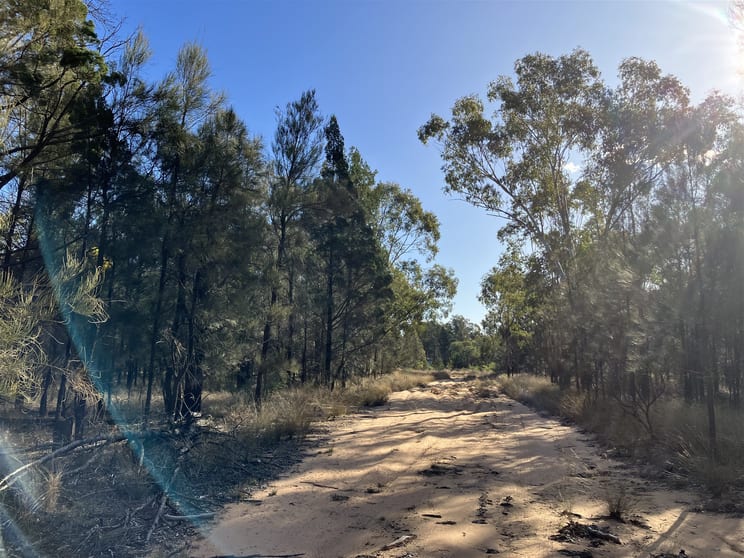 Click to view all images 93/Groszmann Road Western Creek QLD 4357 - Image 2