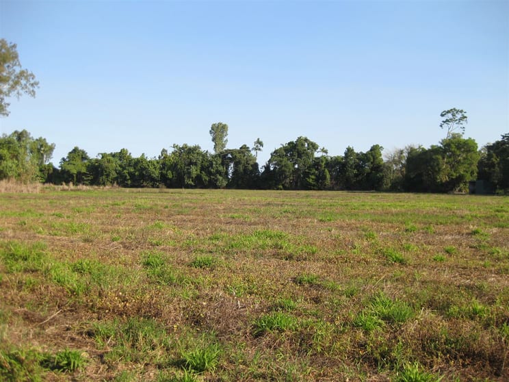 Click to view all images 55 Marron Road Lower Tully QLD 4854 - Image 1