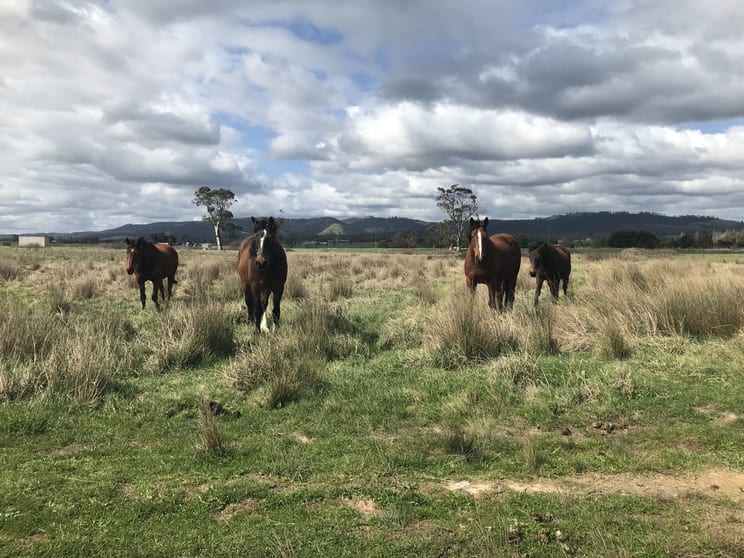 Click to view all images Lot 2 Jumbuk Road Yinnar VIC 3869 - Image 2