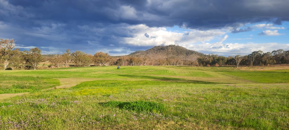 Click to view all images 2 Leyburn Forestry Road Thanes Creek QLD 4370 - Image 1