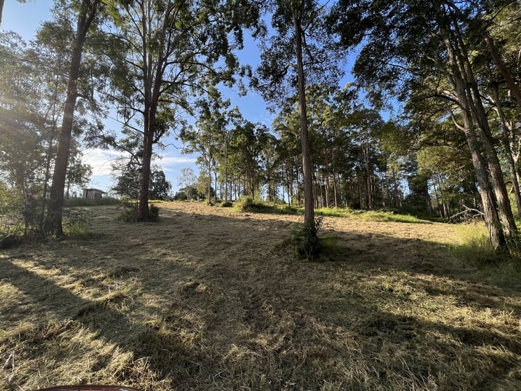 Click to view all images LOT 20/475 VERRIERDALE RD Verrierdale QLD 4562 - Image 2