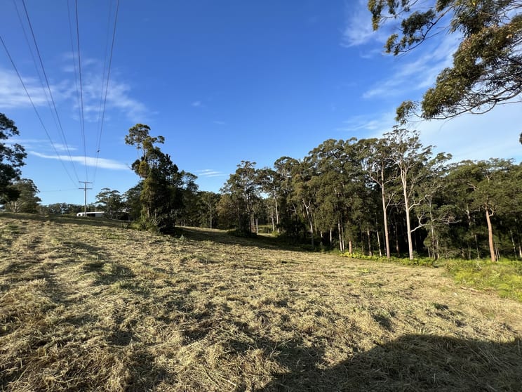 Click to view all images LOT 20/475 VERRIERDALE RD Verrierdale QLD 4562 - Image 3