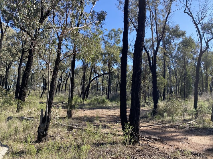 Click to view all images Lot 15 DP752086 Carlisle Road Fifield NSW 2875 - Image 2