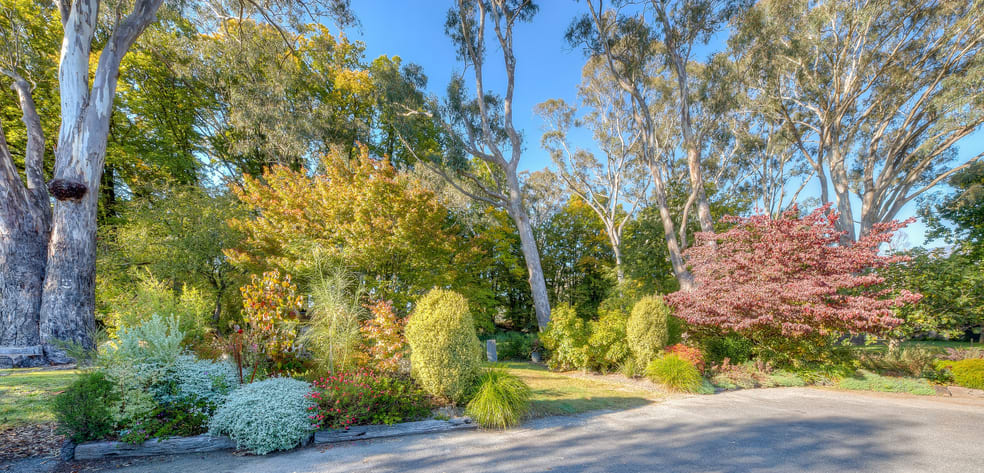 Click to view all images 6430 Great Alpine Road Eurobin VIC 3739 - Image 3