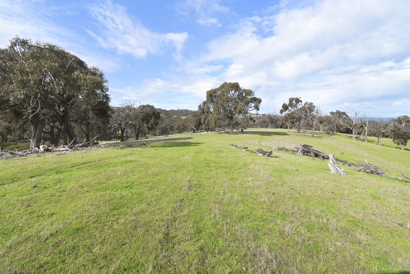 Lot 1 172 Rhymney Road Norval VIC 3377 - Image 3