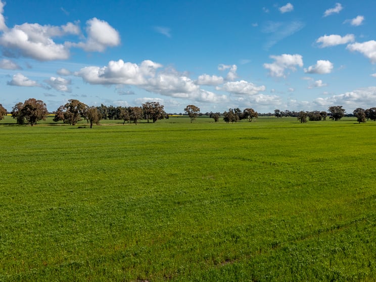 Click to view all images 1 Humeden Road Collendina NSW 2646 - Image 2