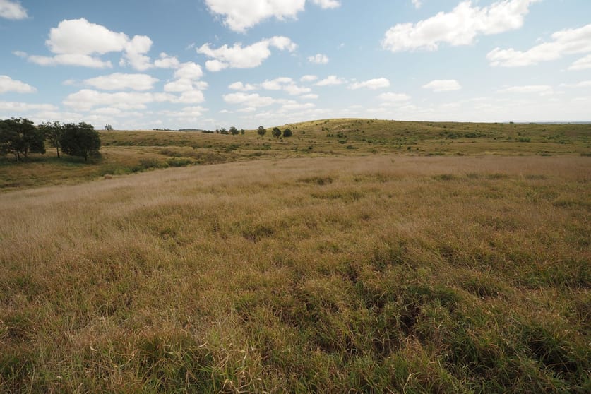 417 Jackson Road Gogango QLD 4702 - Image 2