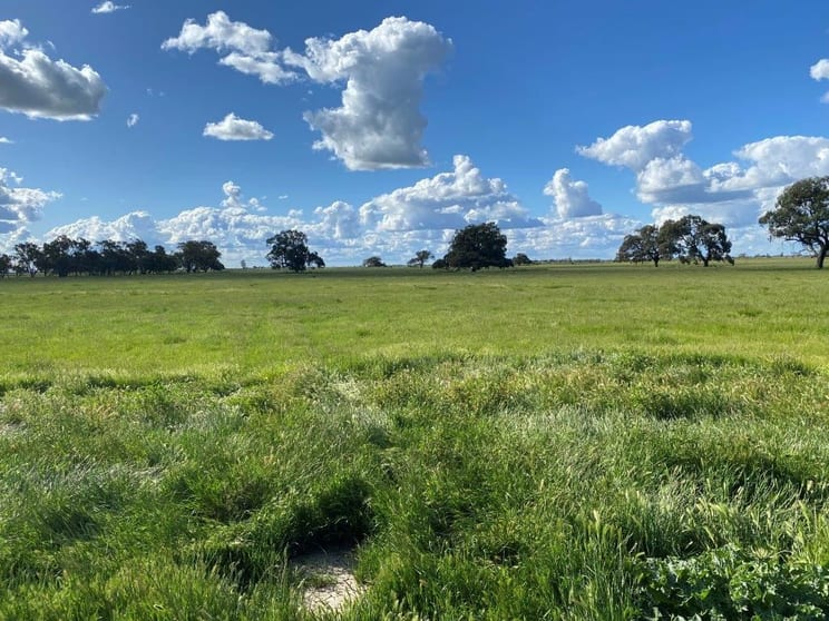 Click to view all images 00 Peacock Road Kerang VIC 3579 - Image 2