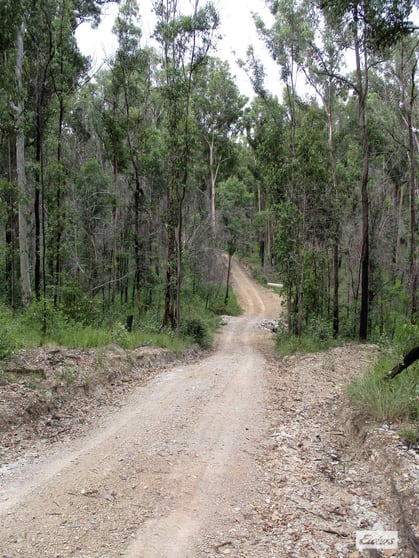 215 Martin Road Nymboida NSW 2460 - Image 3