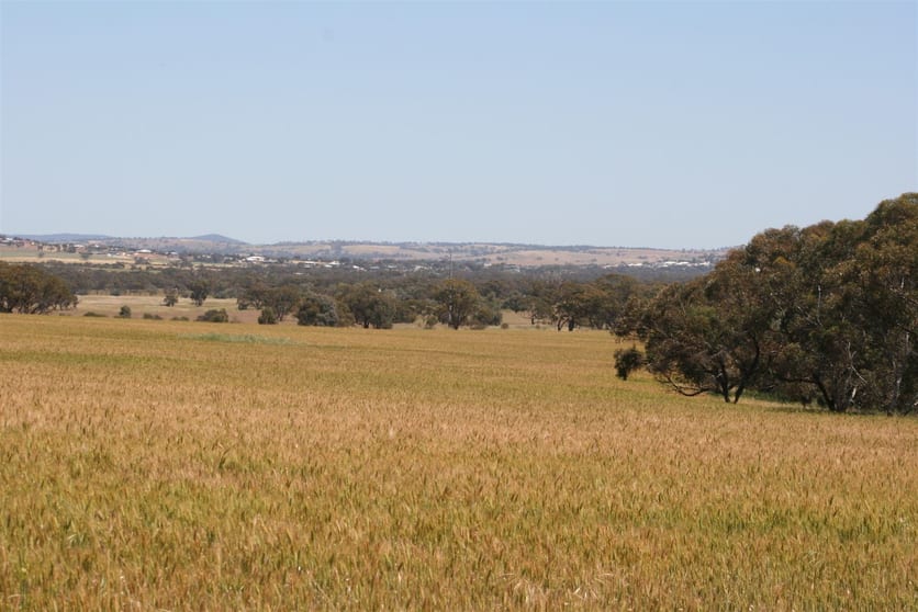 Click to view all images . Boramin & Mulukine Road Grass Valley WA 6403 - Image 1