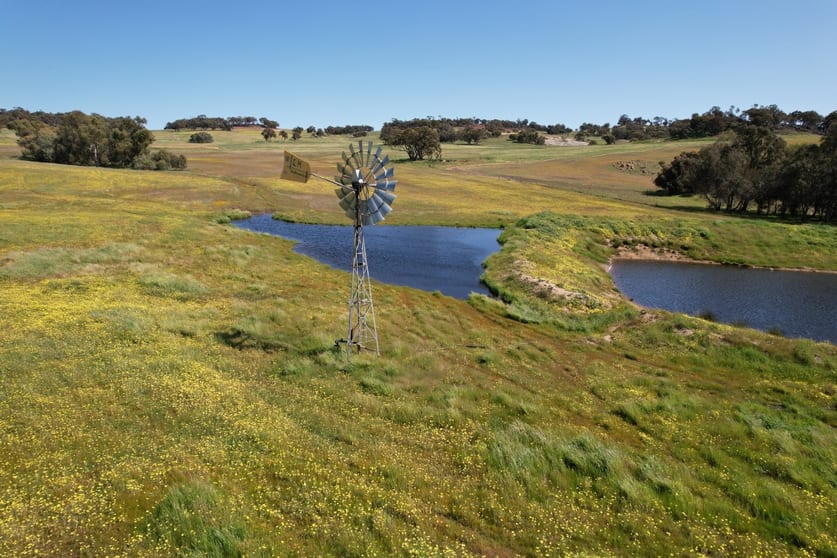 Click to view all images 2367 York-Williams Road Beverley WA 6304 - Image 3