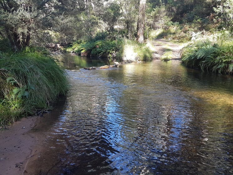 Click to view all images 200 Jerrabatgulla Road Braidwood NSW 2622 - Image 3