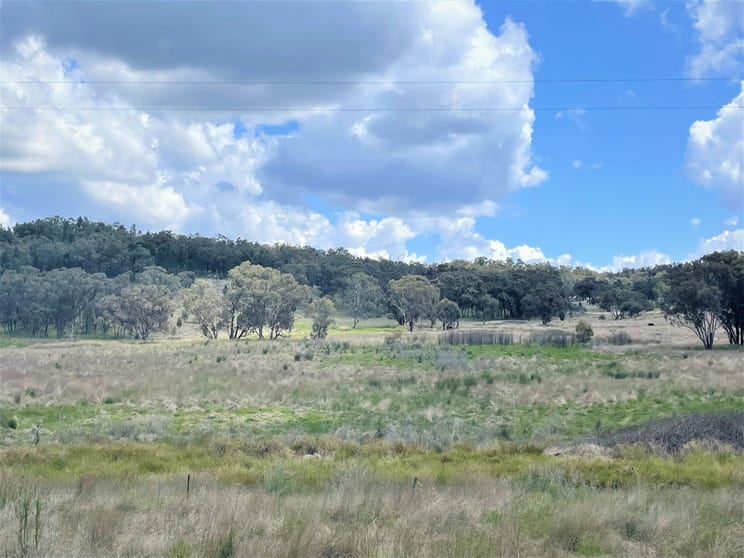 Click to view all images Pine Creek 3461 Wyuna Road, Mullaley via Gunnedah NSW 2380 - Image 2