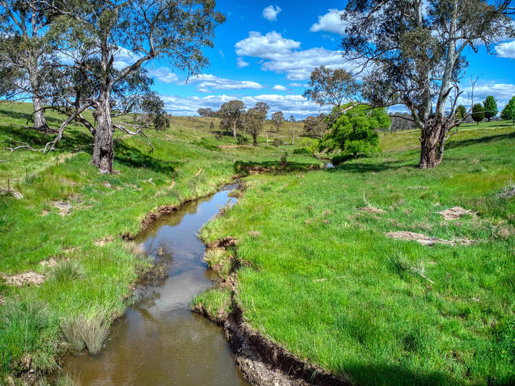 Click to view all images 5269-5323 Castlereagh Highway Round Swamp NSW 2846 - Image 3