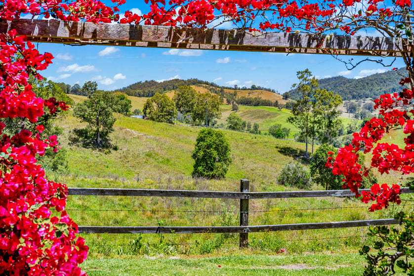 Click to view all images 893 Waukivory Road Gloucester NSW 2422 - Image 3