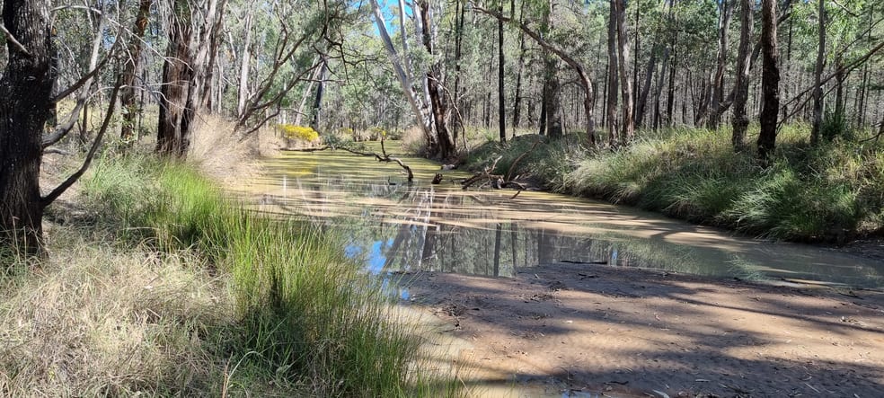 Click to view all images 238 Ayton Road Miles QLD 4415 - Image 3