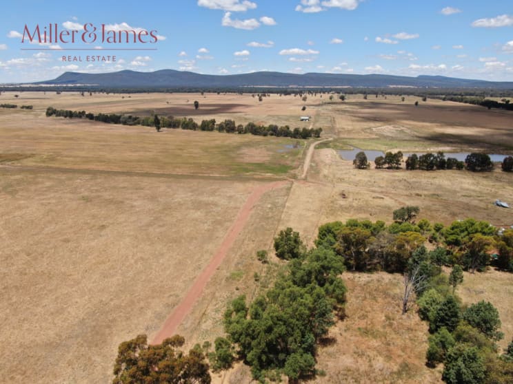 Click to view all images 'Glencoe', 529 Napiers Road Piney Range NSW 2810 - Image 1