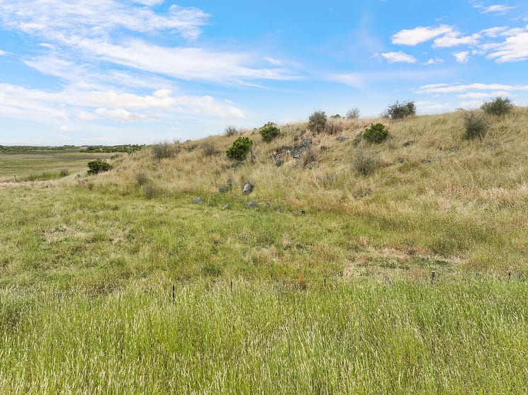 Dreeite VIC 3249 - Image 3
