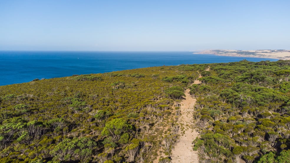 Lot 40 NORTH COAST Road Wisanger SA 5223 - Image 2
