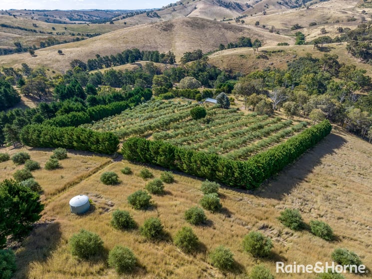 Click to view all images 1302 Fish River Road Narrawa Via Crookwell NSW 2583 - Image 1