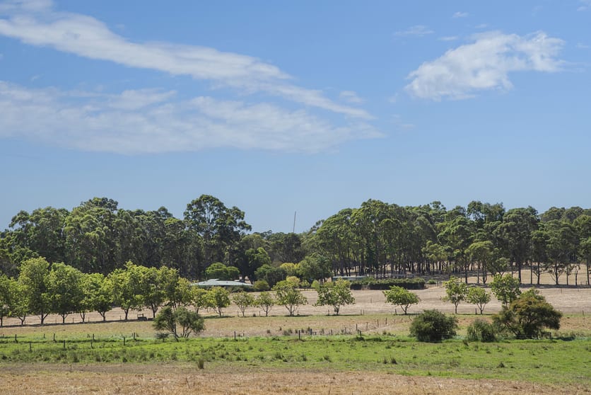 Click to view all images 85 Thomson Road Bramley WA 6285 - Image 3