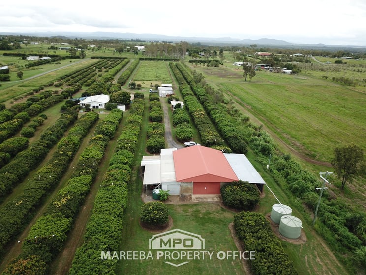 Click to view all images 209 Malone Road Mareeba QLD 4880 - Image 2